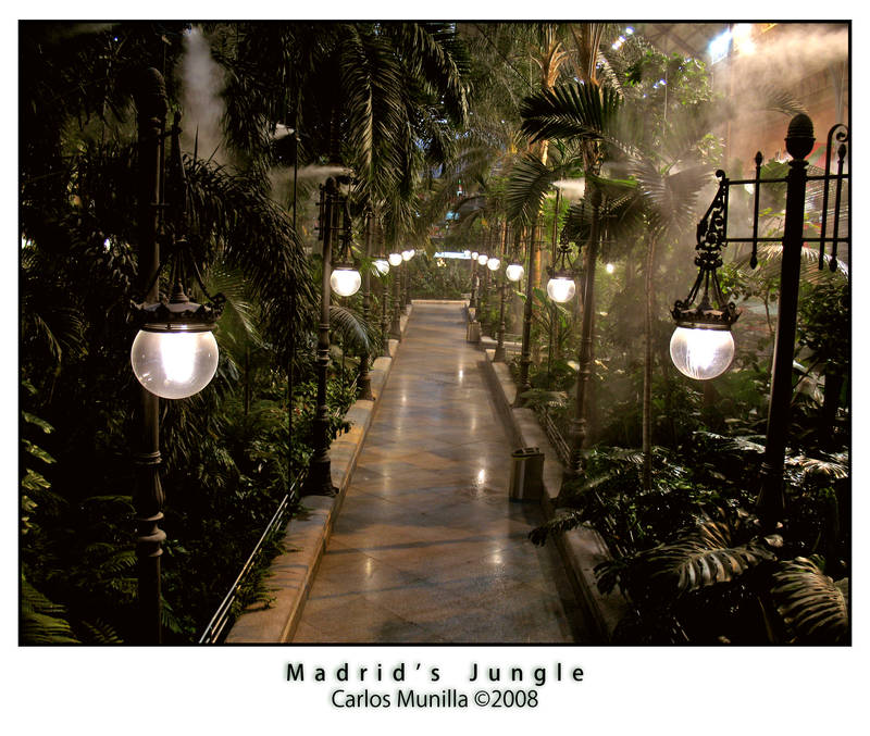 Madrid's Jungle by cmunilla