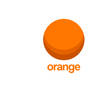 Orange Logo Concept