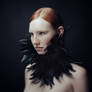 Raven
