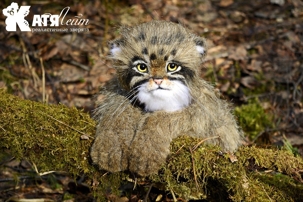 Manul