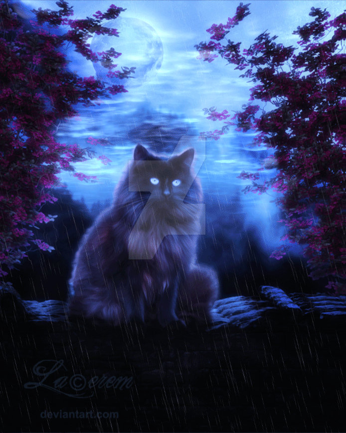 Adorable Cat (Animated) by Lacerem on DeviantArt