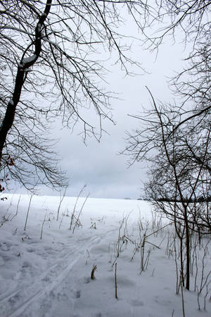 snowscape 04 by Pagan-Stock