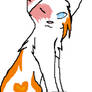 Lostface/Brightheart's Design