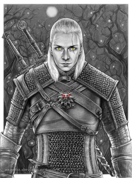 Young Witcher -  commission 16