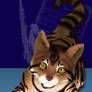 CT Cats- Toyger