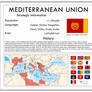The Mediterranean Union