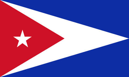 Guyana USA Flag