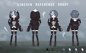 C: Reference sheet Lincoln