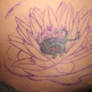 Lily cover up before