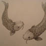 Koi fish drawing 1