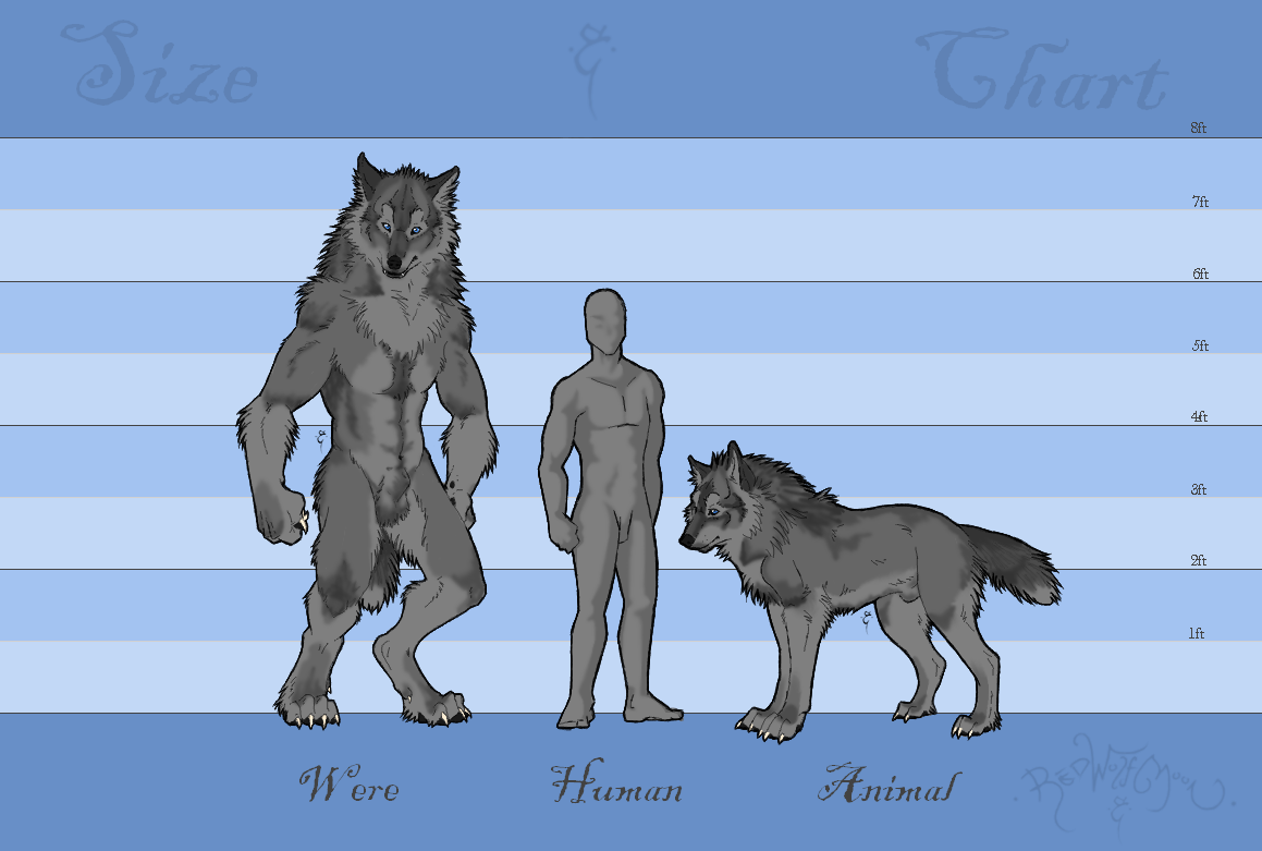 A Knave's Size Chart