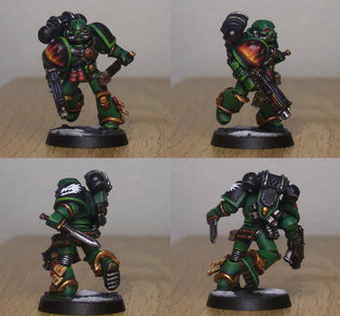 Salamanders Marine 2