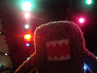 Party Domo