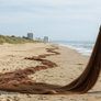 Walking on the Beach with 100-meter long hair