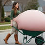 Having to carry my giant belly in a wheelbarrow