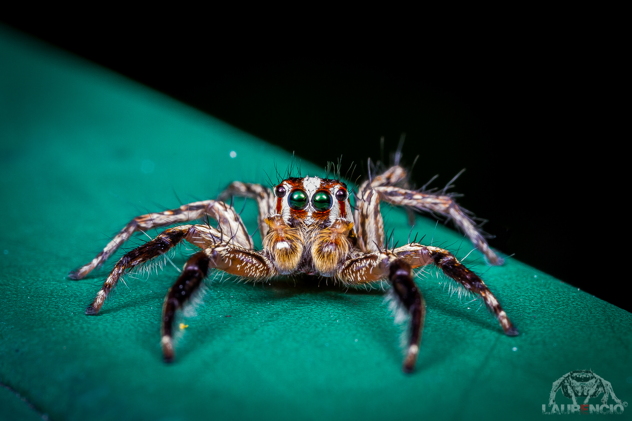 Striped Jumper