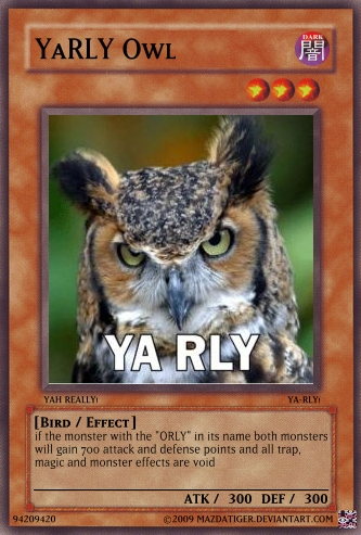 Ya Rly Owl