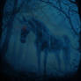 Spectral