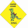 Leaper Lizard XING