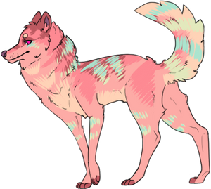 :Scene Dog Adopt:22:CLOSED: