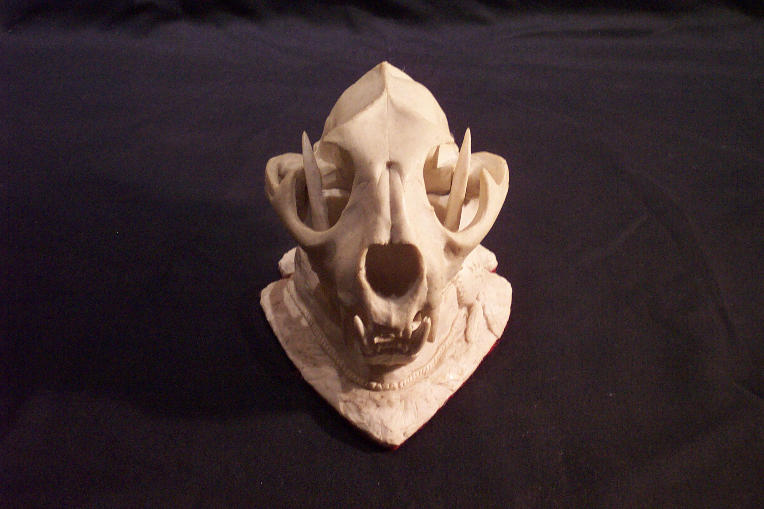 Cougar Skull 1
