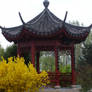 Chinese garden 4 gardenhouse