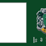 This character is a Slytherin