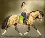 Shankara -Dressage- by BH-Stables