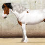 ref Blackjack