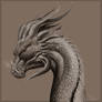Dragon Print