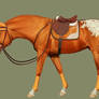 Buttweiser's show jumping tack - ironstone wip