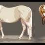 Quamille - Paint Horse Mare - Ref sheet