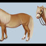 Cannelle - Shetland Mare - Ref Sheet