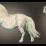 Pirouette - Shetland Mare - Ref Sheet
