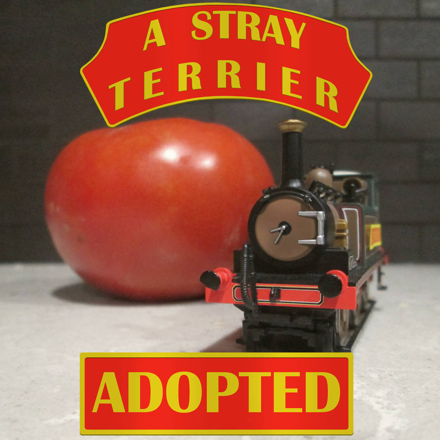 AST2 Adopted 0 by AStrayTerrier on DeviantArt