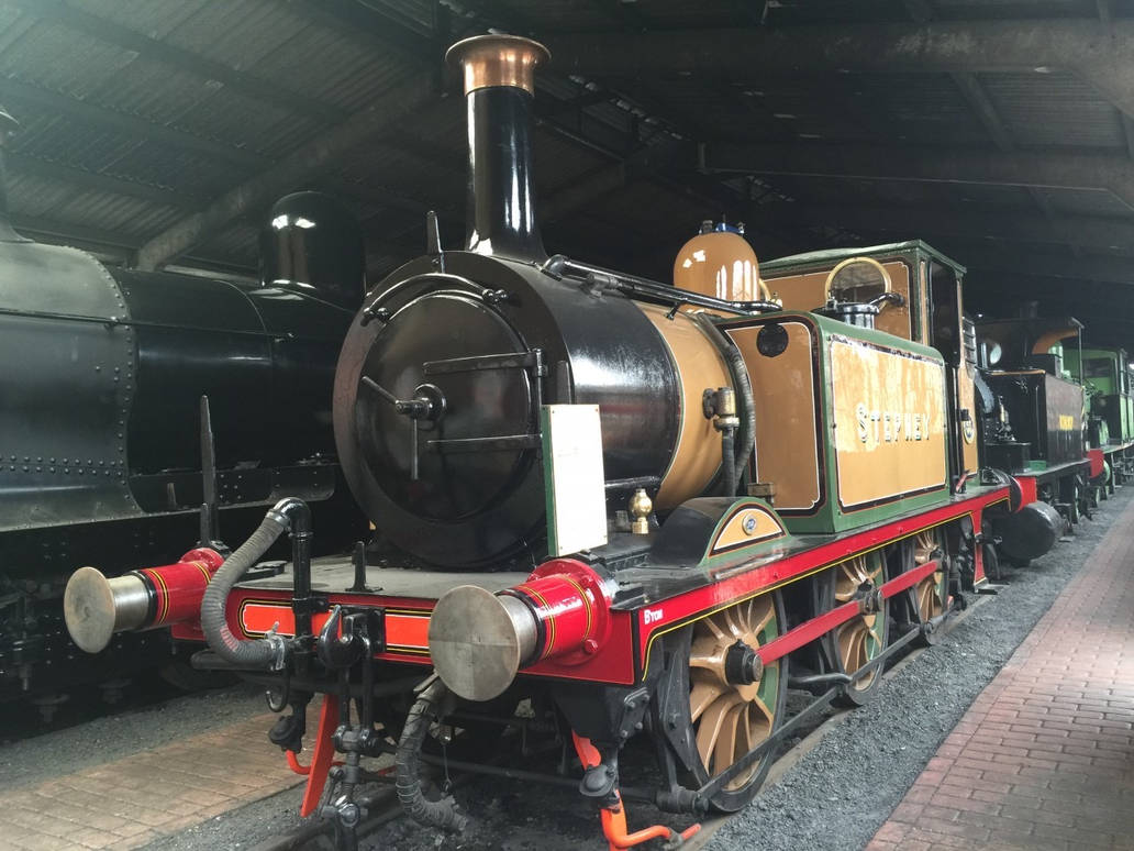 The real life Stepney by skunkman707 on DeviantArt
