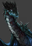otro dragon by julif-art