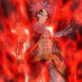 Fairy Tail : Etherious Natsu Dragnir