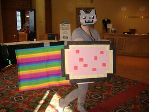 Nyan Cat Cosplay