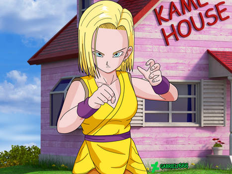Android 18 with Krillin's clothes (ORIN)