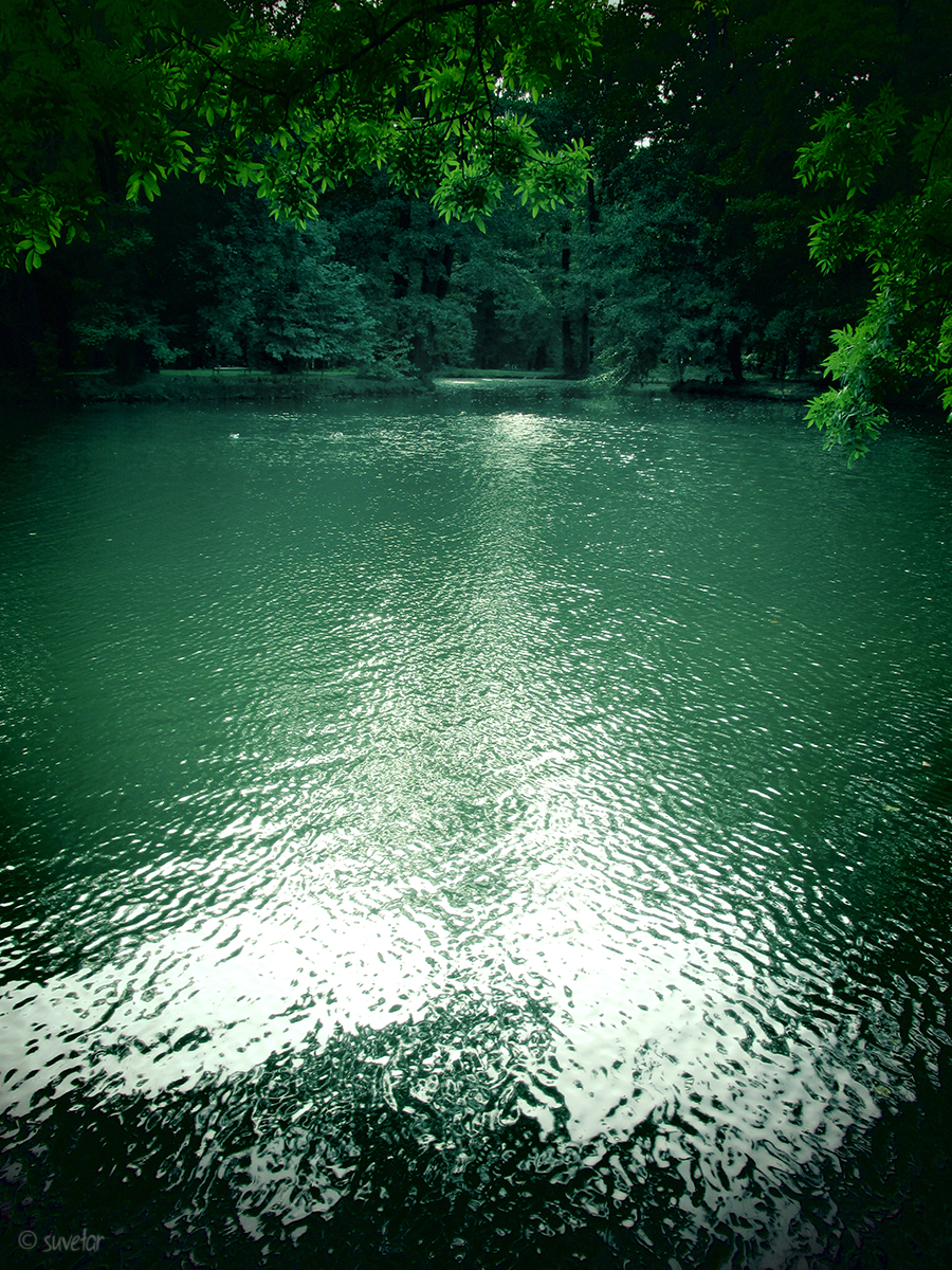 Green waters