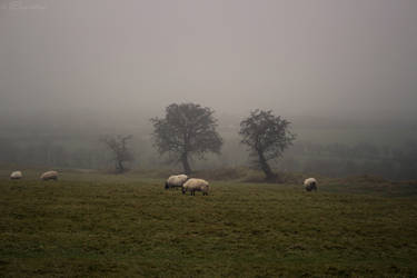 Hill of Tara