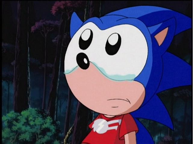 Don't cry Sonic