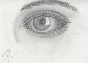 Eye Study