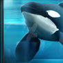 Tilikum