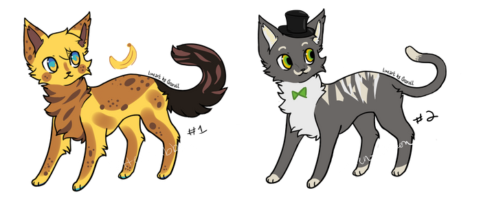 Adopts set 1