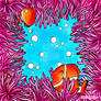 Anemone et poisson clown ~ square size