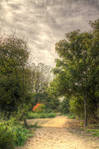 A Nice Day For A Walk 6 by Amalphi