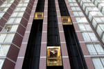 The Only Way Is Up by Amalphi