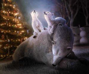 Waiting for Santa, Animal Christmas Art by shibashake Waiting for Santa, Animal Christmas Art by shibashake